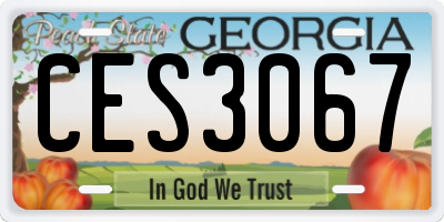 GA license plate CES3067
