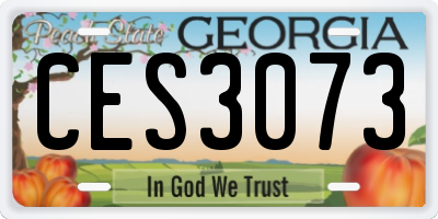 GA license plate CES3073
