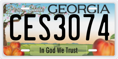 GA license plate CES3074
