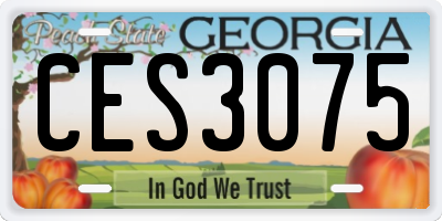 GA license plate CES3075