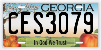 GA license plate CES3079