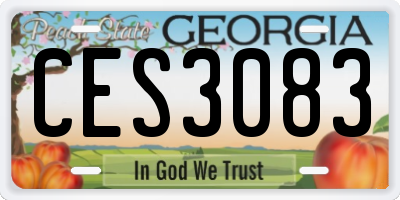 GA license plate CES3083