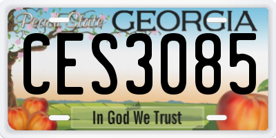GA license plate CES3085