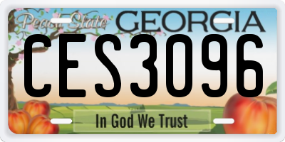 GA license plate CES3096