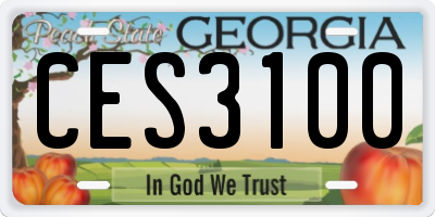 GA license plate CES3100