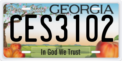 GA license plate CES3102
