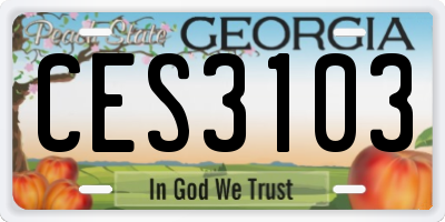 GA license plate CES3103