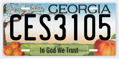 GA license plate CES3105