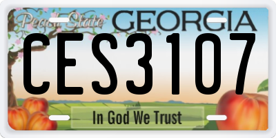 GA license plate CES3107