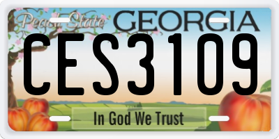 GA license plate CES3109