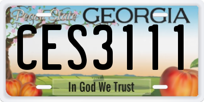 GA license plate CES3111