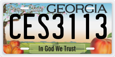 GA license plate CES3113