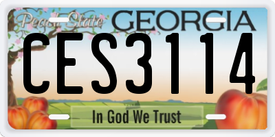 GA license plate CES3114