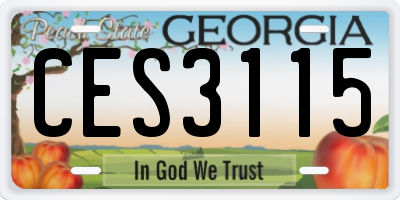 GA license plate CES3115