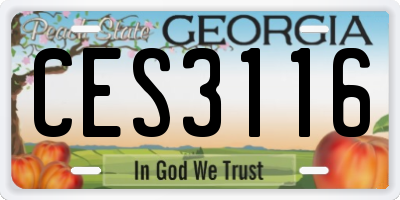GA license plate CES3116