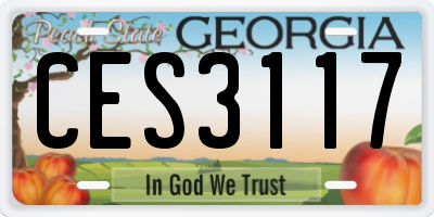 GA license plate CES3117
