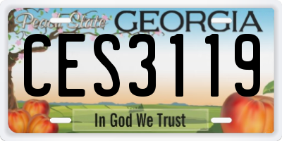 GA license plate CES3119