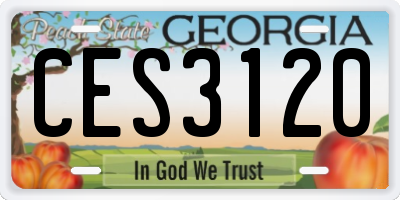 GA license plate CES3120