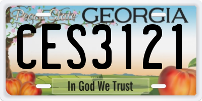 GA license plate CES3121