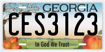 GA license plate CES3123