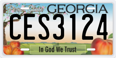 GA license plate CES3124