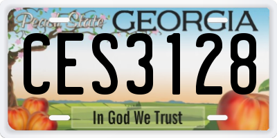 GA license plate CES3128