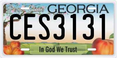 GA license plate CES3131