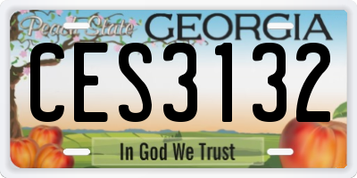 GA license plate CES3132