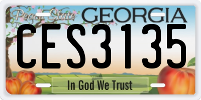 GA license plate CES3135
