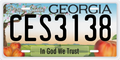 GA license plate CES3138