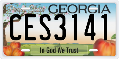 GA license plate CES3141