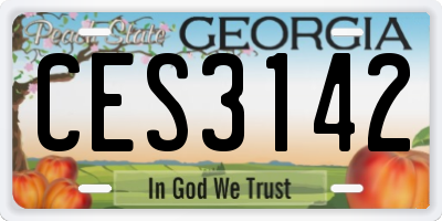 GA license plate CES3142
