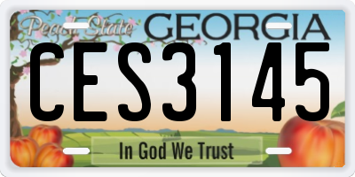 GA license plate CES3145