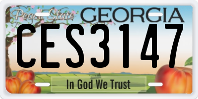 GA license plate CES3147