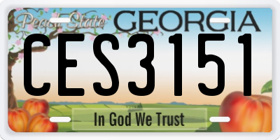 GA license plate CES3151