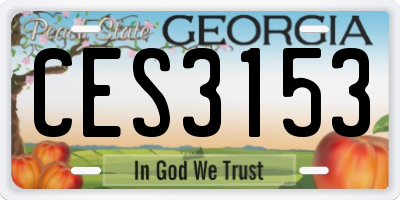 GA license plate CES3153