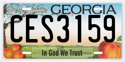 GA license plate CES3159