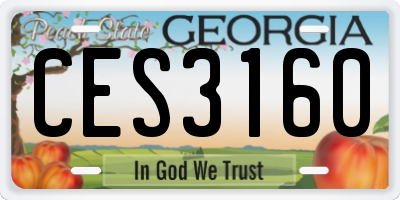 GA license plate CES3160
