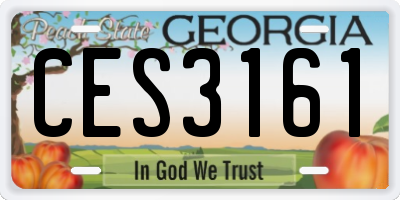 GA license plate CES3161