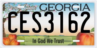 GA license plate CES3162