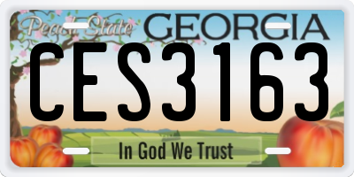 GA license plate CES3163