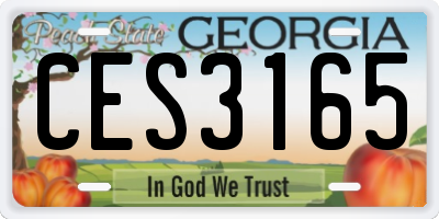 GA license plate CES3165