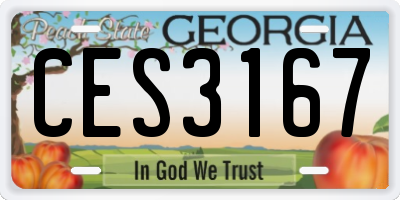 GA license plate CES3167