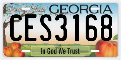 GA license plate CES3168