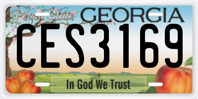 GA license plate CES3169