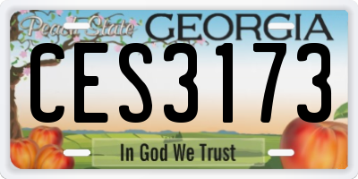 GA license plate CES3173