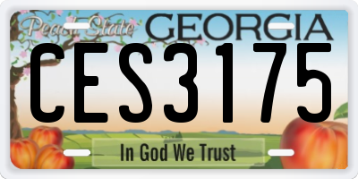 GA license plate CES3175