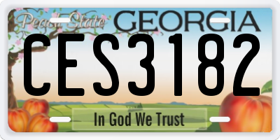 GA license plate CES3182