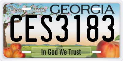 GA license plate CES3183