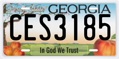 GA license plate CES3185